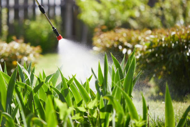 24/7 Emergency Mosquito Control experts in Celoron, NY